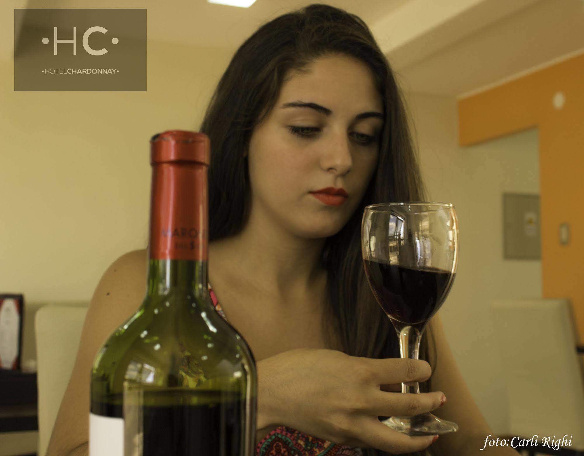 Hotel Chardonnay Tupungato Eksteriør bilde
